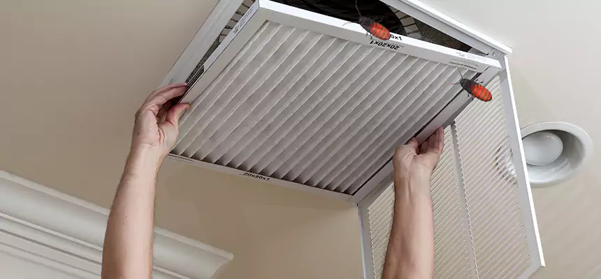 Preventive Cockroach-Proofing for Ducts in Visalia