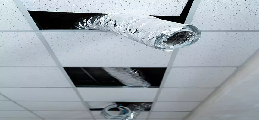 Our Air Duct Pet Hair Removal Services in Visalia, CA