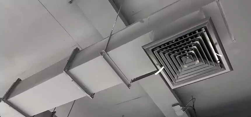 Our Rodent Droppings In Vents Services in Visalia, CA