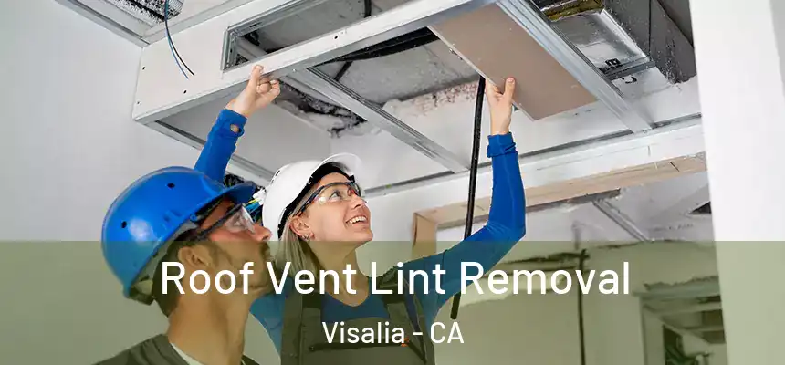 Roof Vent Lint Removal Visalia - CA