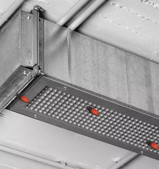 About Air Duct Cockroach Removal in Visalia, CA