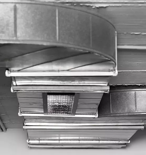 Professional Air Duct Pet Hair Removal in Visalia, CA