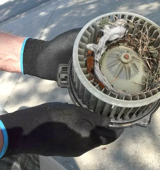 About Air Duct Rat Removal in Visalia, CA