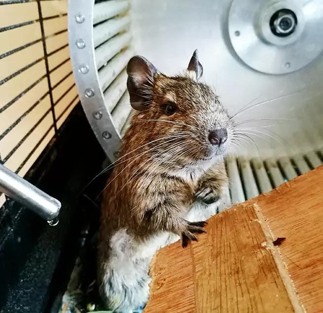 Why Homeowners & Businesses Trust Us Visalia, CA?