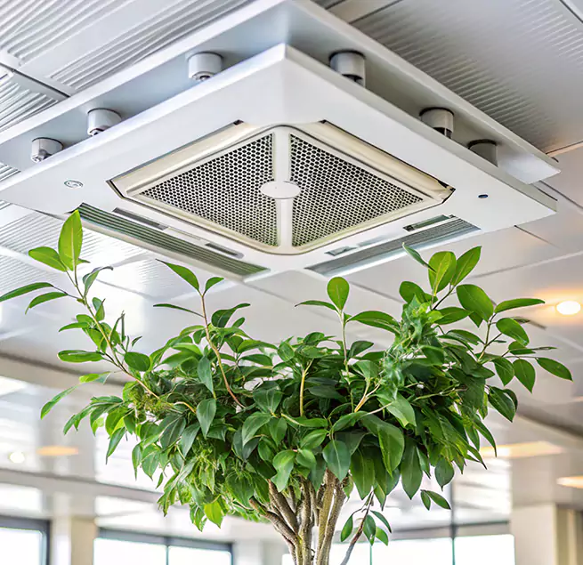 Why Homeowners & Businesses Trust Us in Visalia, CA?