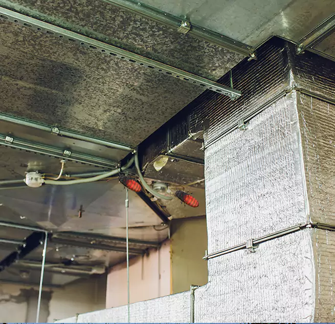 Why Homeowners & Businesses Trust Us Visalia, CA?